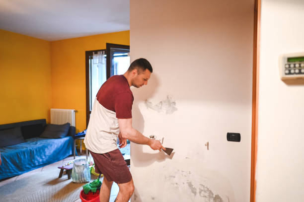 Home Mold Removal in Oak Leaf, TX